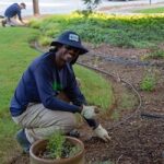 St Augustine Landscaper