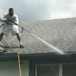 Roof Cleaning Near Me