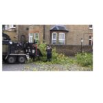 Tree Surgeons Dagenham