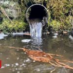 Water companies illegally dumping sewage in England and Wales' rivers