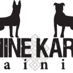 Dog Trainer Fairfax VA