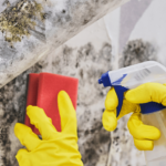 Mold Inspector Atlanta GA