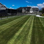 Professional Lawn Care Centerville UT