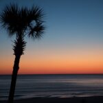 Panama City Beach Condo Rentals