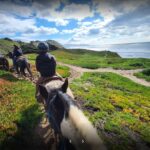 Guided Trail Rides Daly City CA