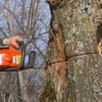 Tree Surgeons Reading