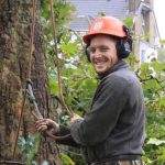 Tree Surgeons Dulwich